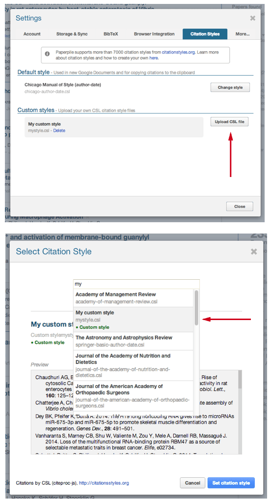 Custom citation styles in Paperpile