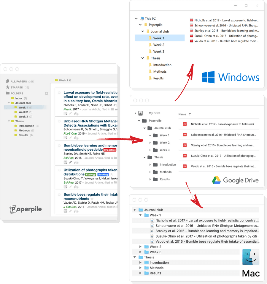 Sync Paperpile's folder structure in Windows, Mac and Google Drive on the web